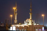 Dubai (302)