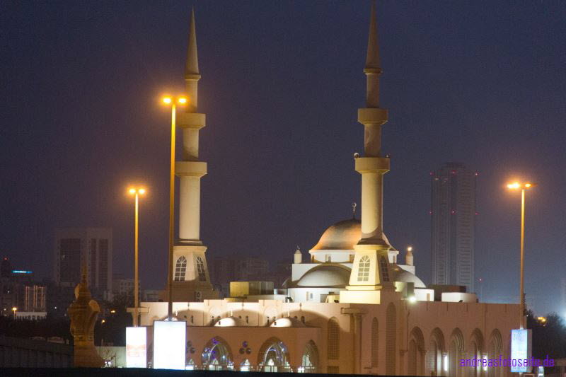 Dubai (302)