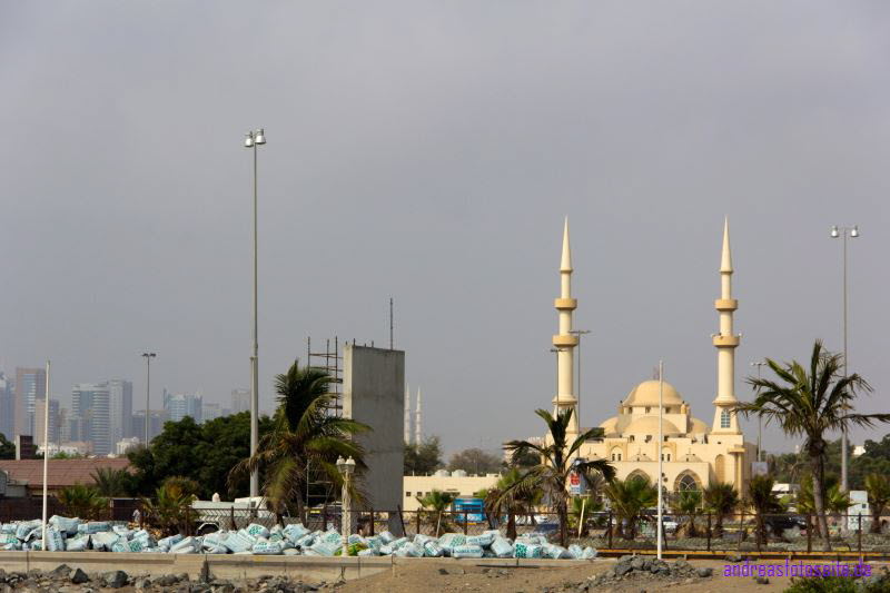 Dubai (342)