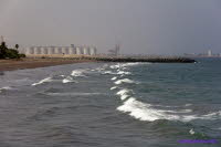 Dubai (379)