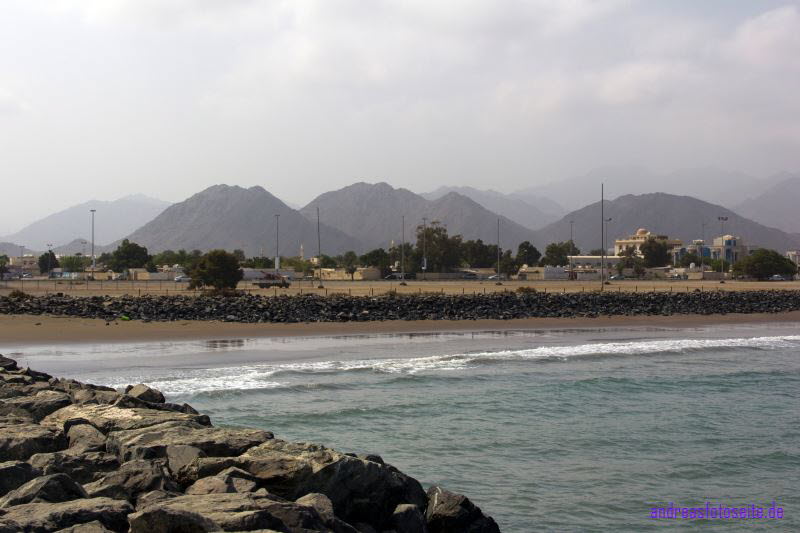 Dubai (383)