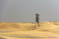 Dubai (404)