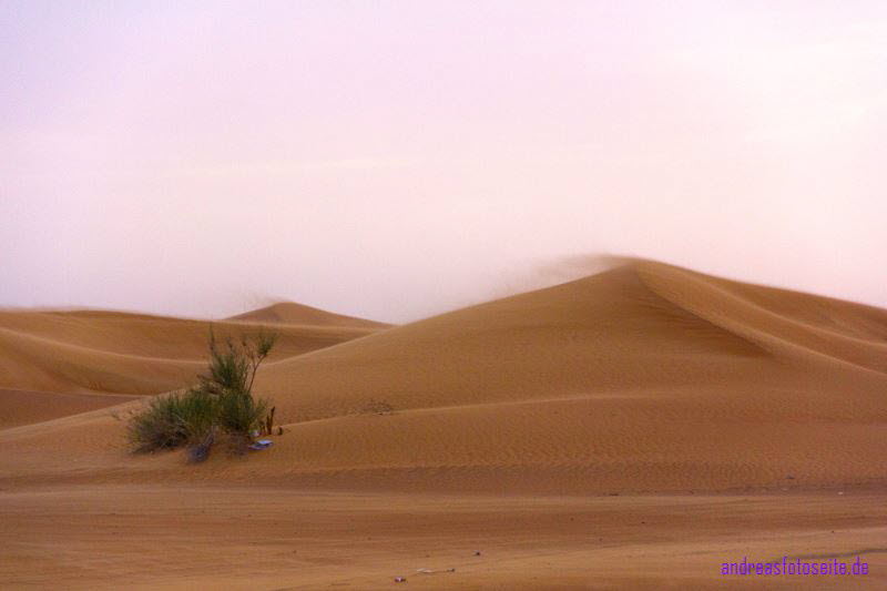 Dubai (416)