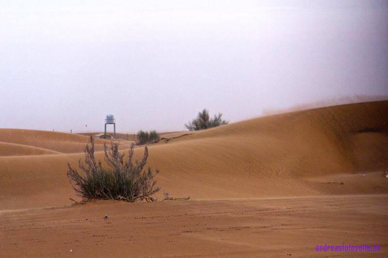 Dubai (417)