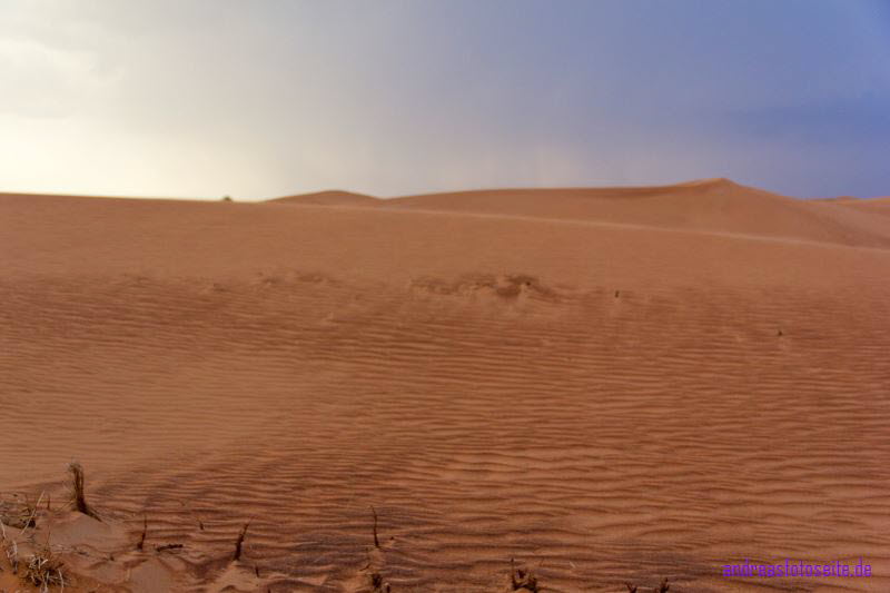 Dubai (429)