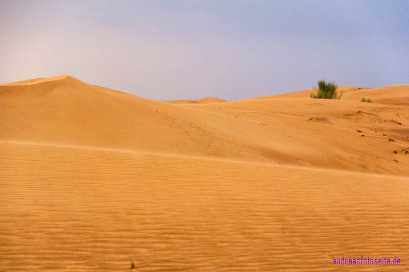 Dubai (430)