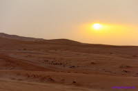 Dubai (438)