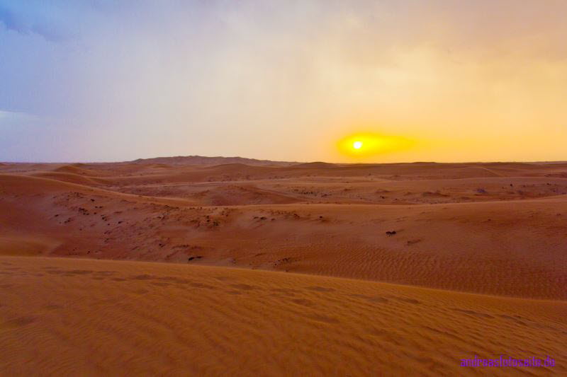 Dubai (439)