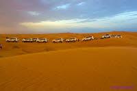 Dubai (441)