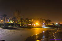 Dubai (481)