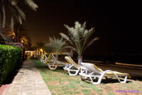 Dubai (485)