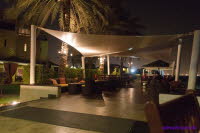 Dubai (493)