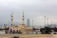 Dubai (495)