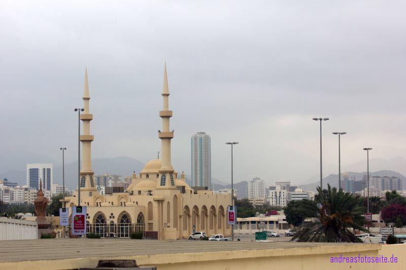 Dubai (495)