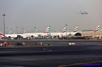 Dubai (531)
