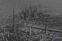 Dubai (549)