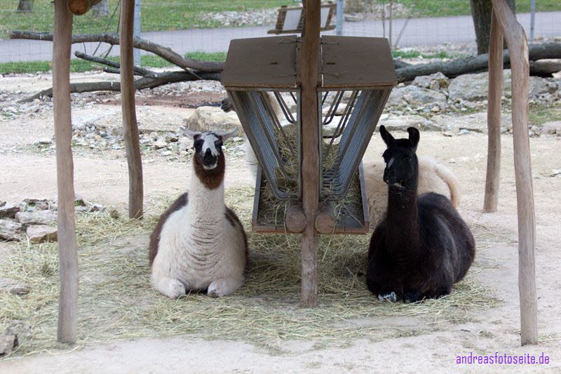 Chillout Area