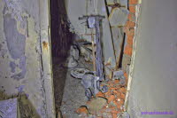 Reinigung