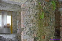 Zimmer frei