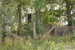 FSpBunker (15)