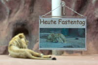 Fastentag