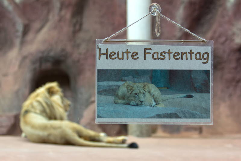 Fastentag