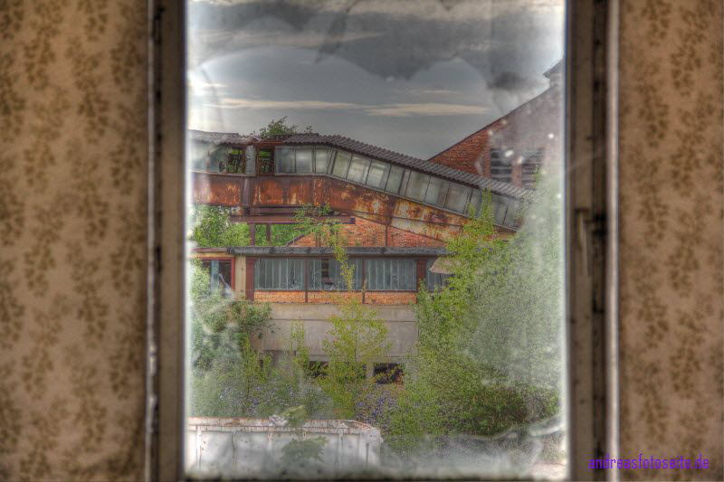 Fensterblick1