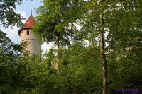 Haineck (1)
