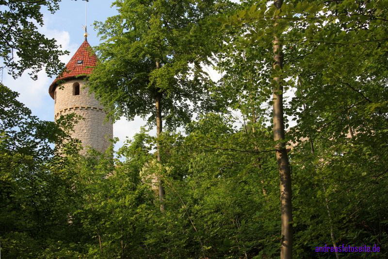 Haineck (1)