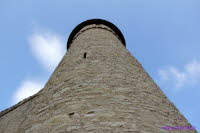 Haineck (13)
