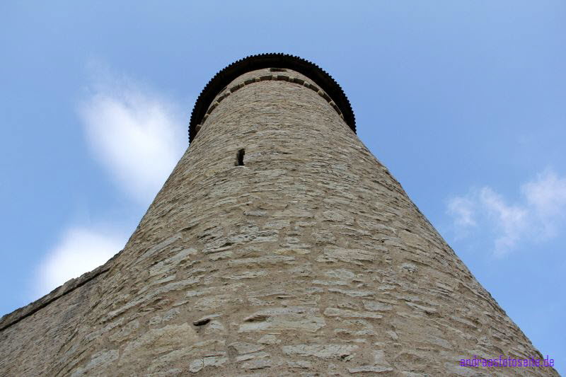 Haineck (13)