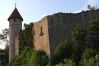 Haineck (14)