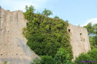 Haineck (15)