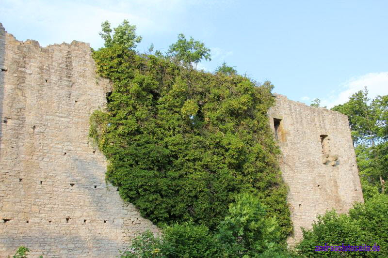 Haineck (15)