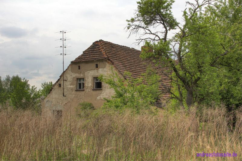 Haus5