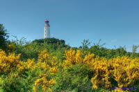 Hiddensee (112)
