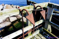 Hiddensee (118)
