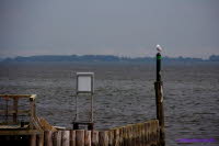 Hiddensee (184)