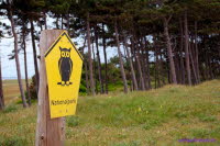 Hiddensee (208)