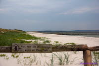 Hiddensee (227)