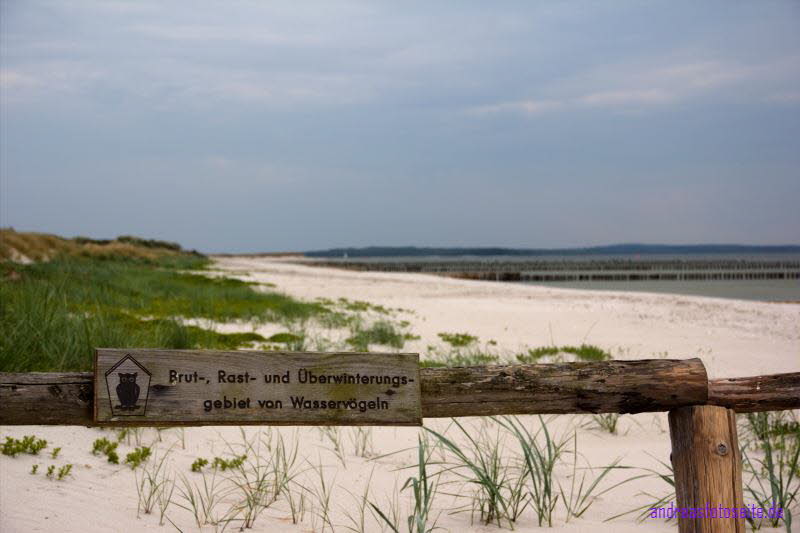 Hiddensee (227)