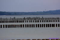 Hiddensee (233)