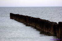 Hiddensee (235)