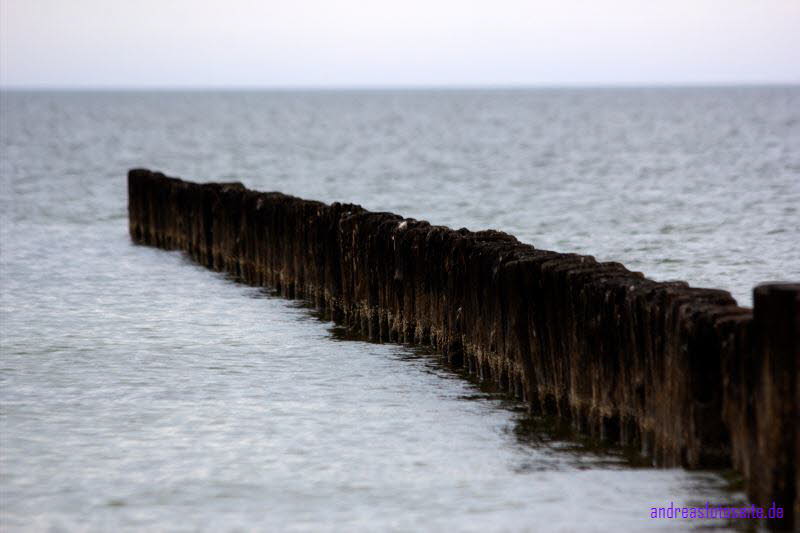 Hiddensee (235)