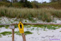 Hiddensee (240)