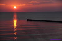 Hiddensee (251)