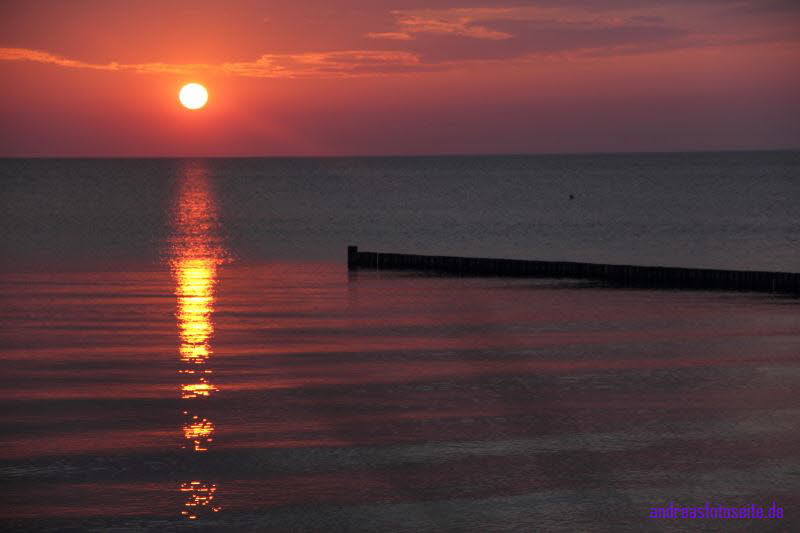 Hiddensee (251)