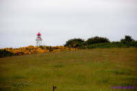 Hiddensee (272)