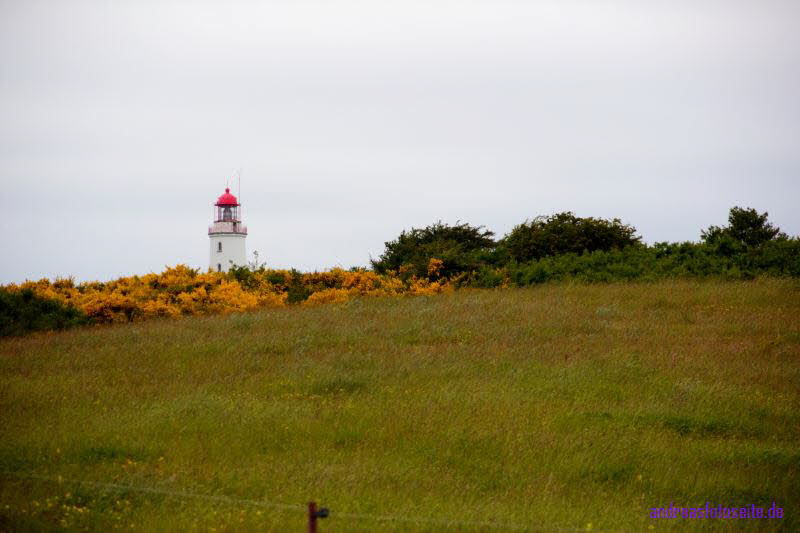 Hiddensee (272)