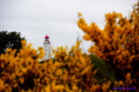 Hiddensee (281)